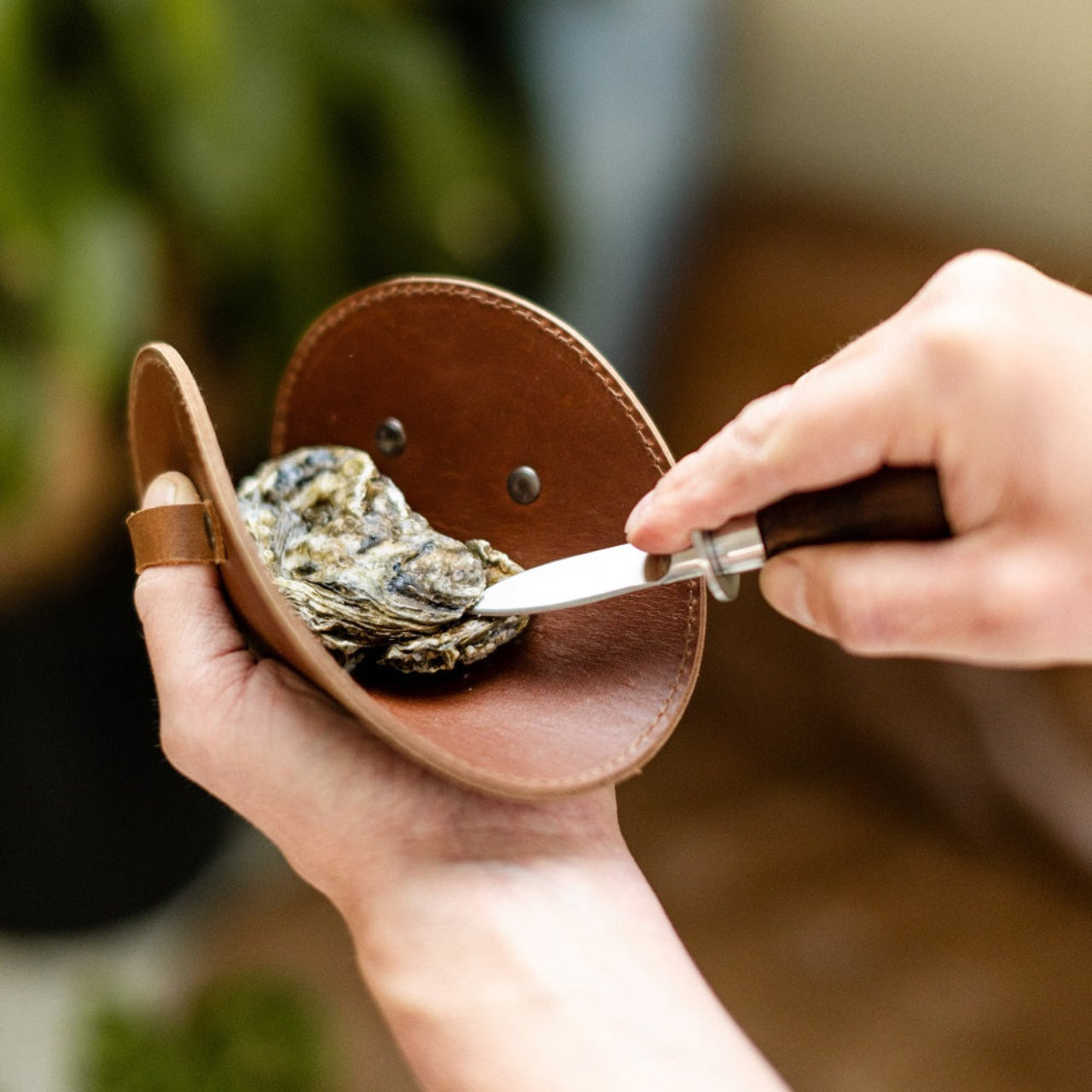 Oyster knife with leather glove – Brut